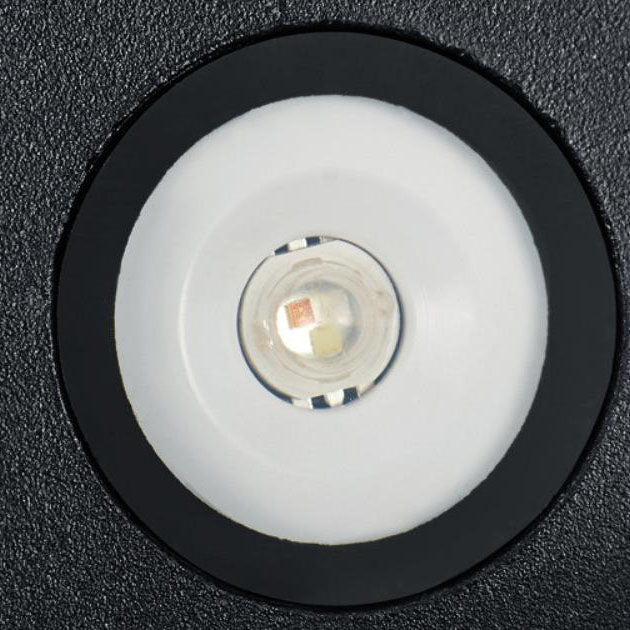 Cowrie Shell Wall Sconce, IP65 Waterproof LED Outdoor Wall Light for Courtyard, Terrace & Garden Wall