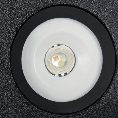 Cowrie Shell Wall Sconce, IP65 Waterproof LED Outdoor Wall Light for Courtyard, Terrace & Garden Wall