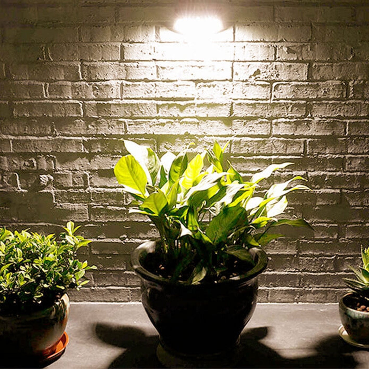 Alder Solar Motion Wall Light, Black or Rose Gold IP65 Waterproof Solar Motion Sensor Light for Gate, Shed & Garage