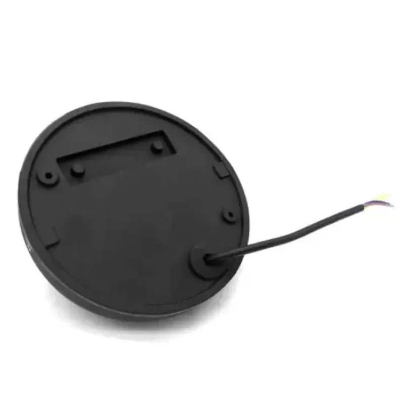 Linden lit at night