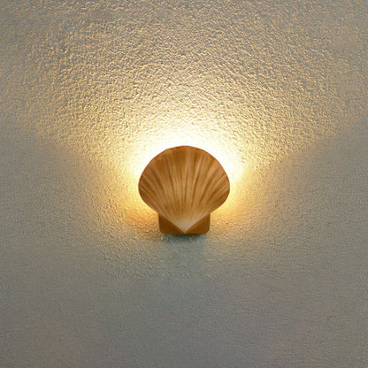 Cowrie Shell Wall Sconce, IP65 Waterproof LED Outdoor Wall Light for Courtyard, Terrace & Garden Wall